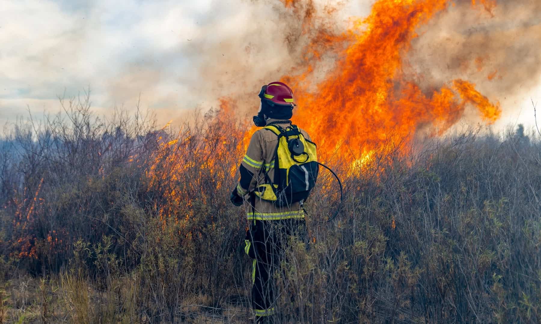 Ondas de calor, incêndios florestais e preços em alta estão a afetar o setor do turismo.