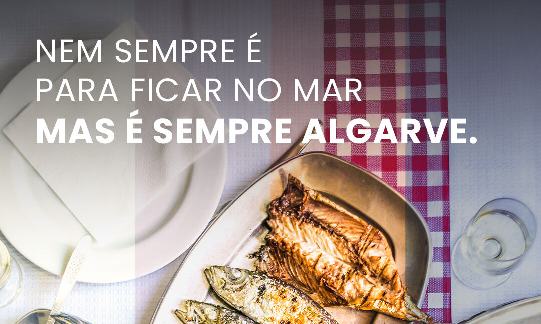 Tnews 