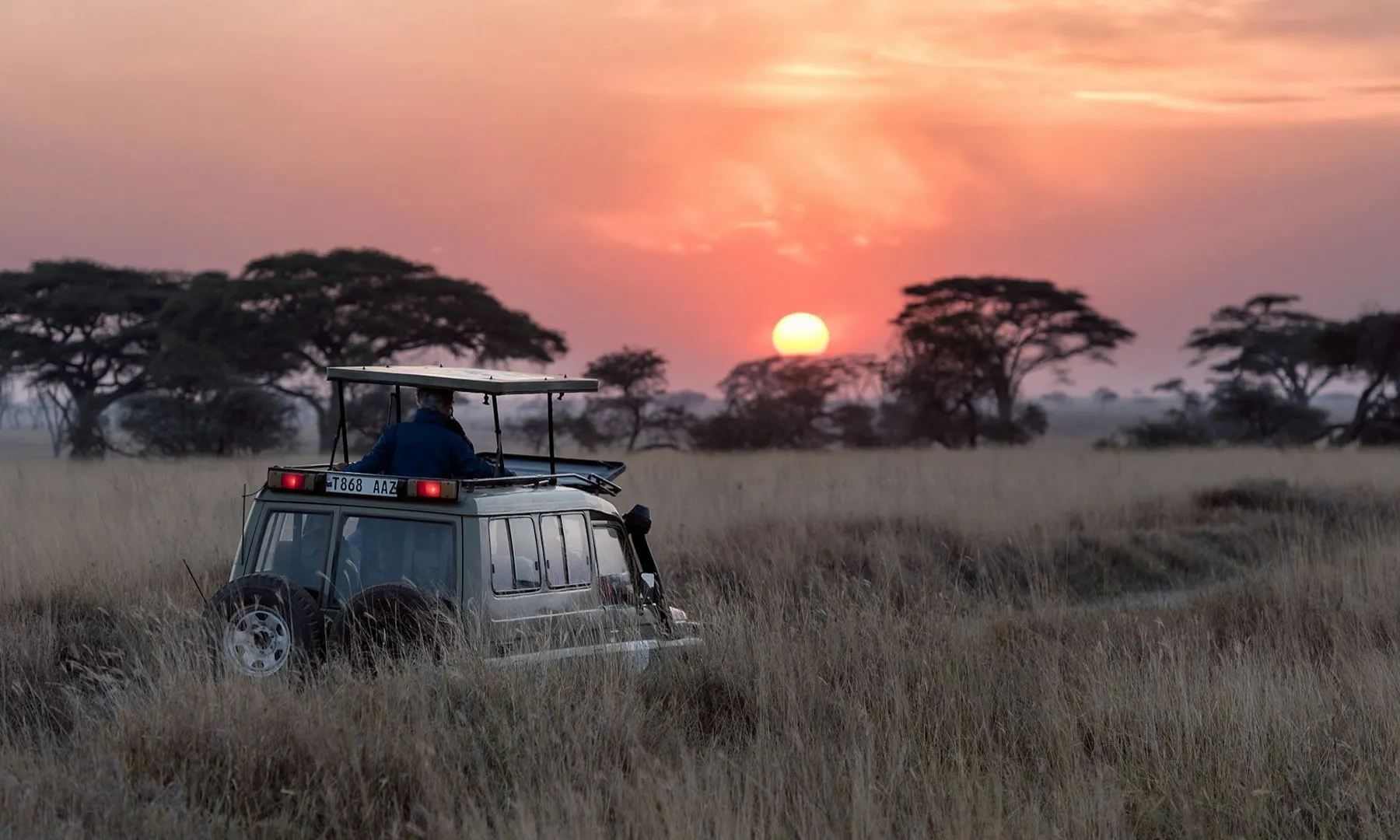 Serenguéti, Tanzânia. Foto: Hu Chen/Unsplash
